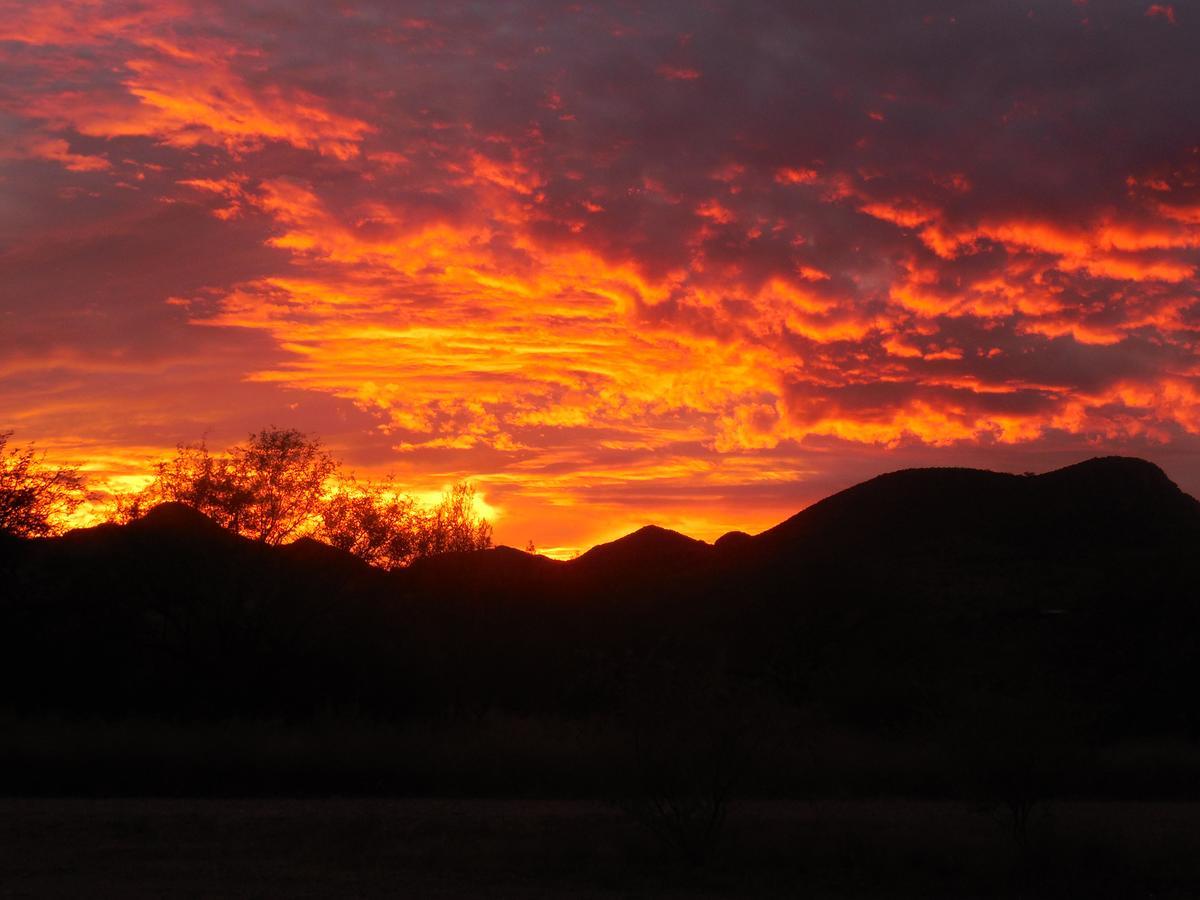 Freedom On The Go Ranch Bed and Breakfast Tubac Exterior foto