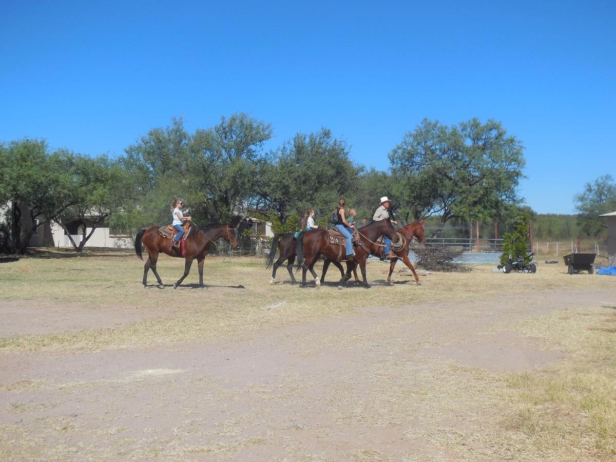 Freedom On The Go Ranch Bed and Breakfast Tubac Exterior foto