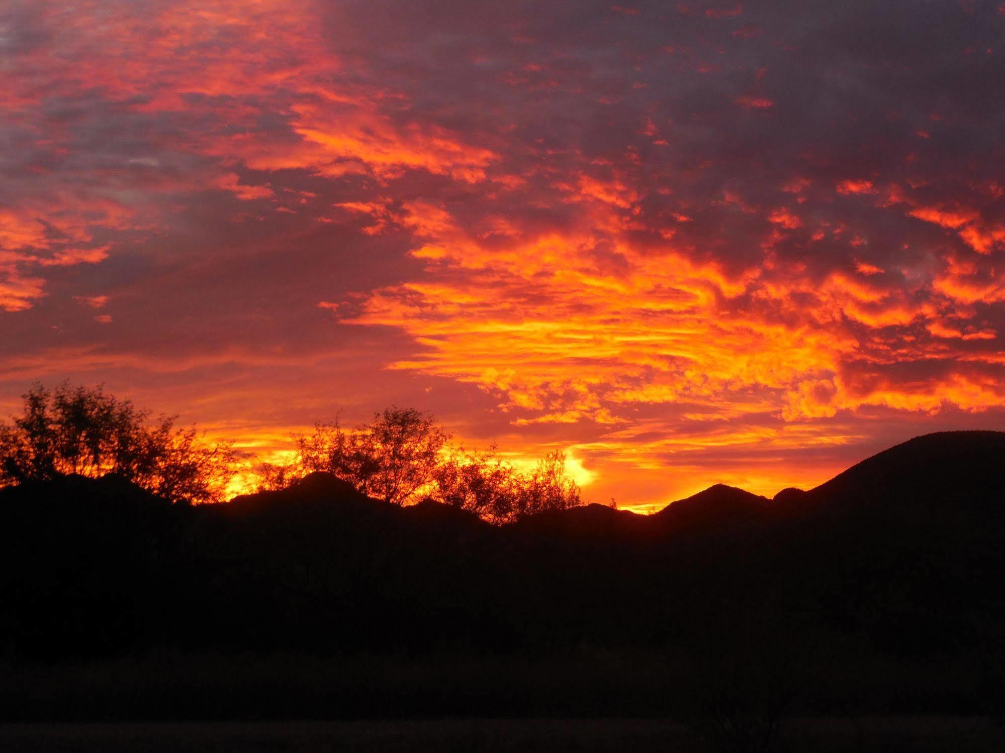 Freedom On The Go Ranch Bed and Breakfast Tubac Exterior foto