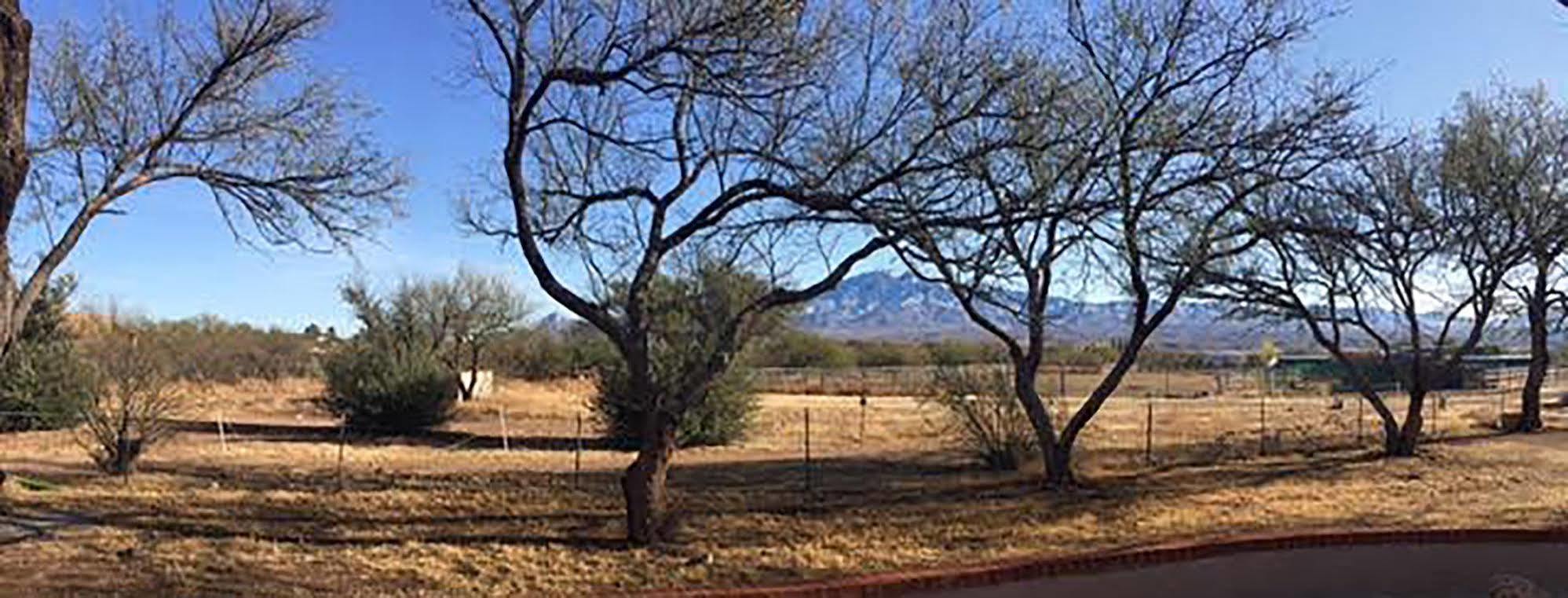 Freedom On The Go Ranch Bed and Breakfast Tubac Exterior foto